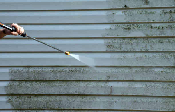 Best Professional Mold Removal  in Morristown, IN