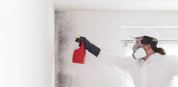 Crawl Space Mold Removal in Morristown, IN